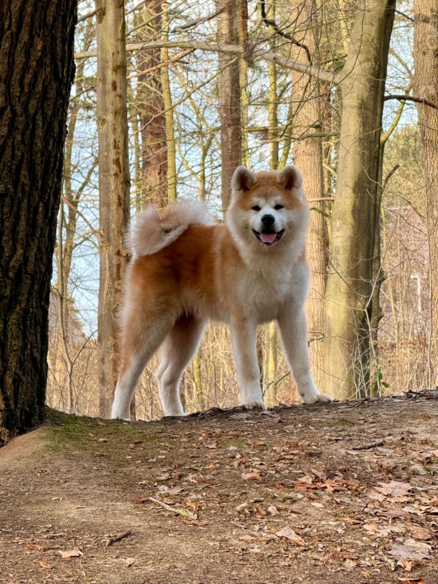 0fdf205f 51b3 4ac7 a435 278c02dccbf2