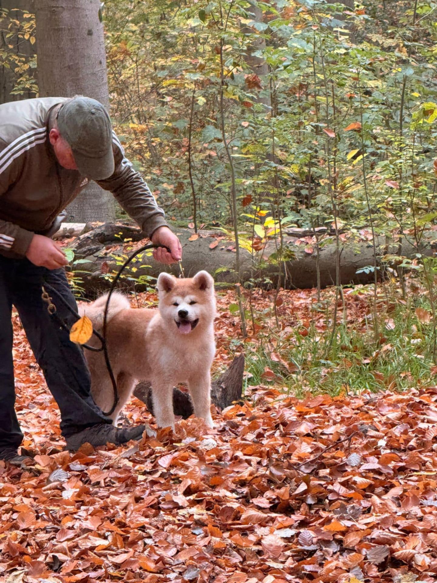 17fcde92 10df 47af 8a29 b1a97ebd2357