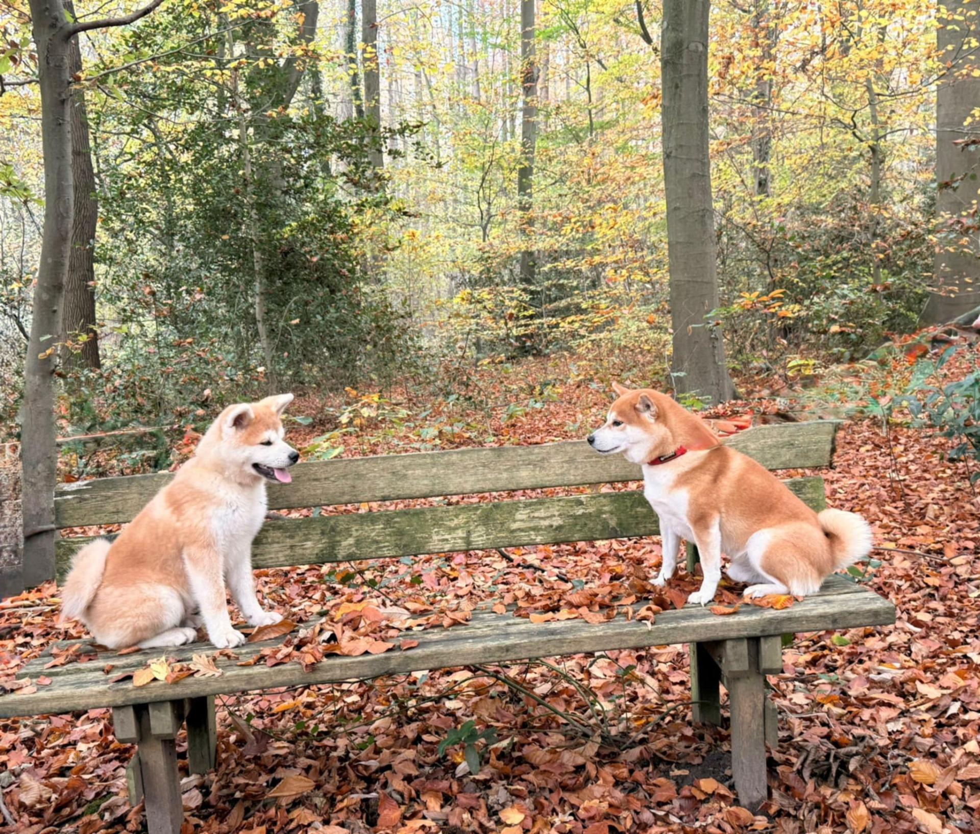 20d04626 872f 492f 9033 67b905453ecc