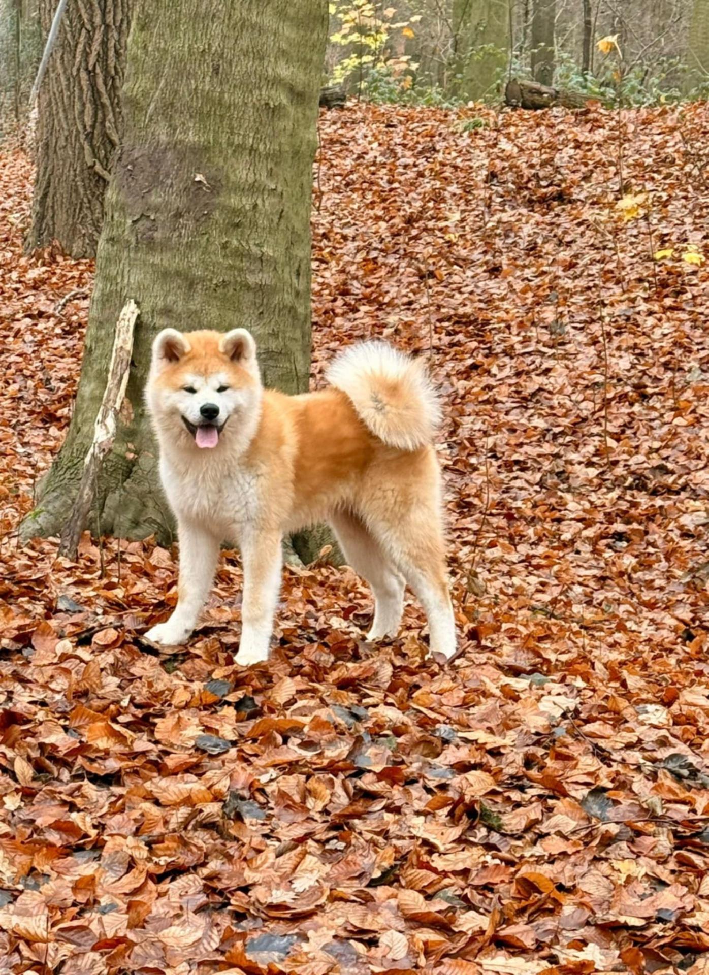 2a856913 1cfd 4c48 a64a 0249ac3dd040