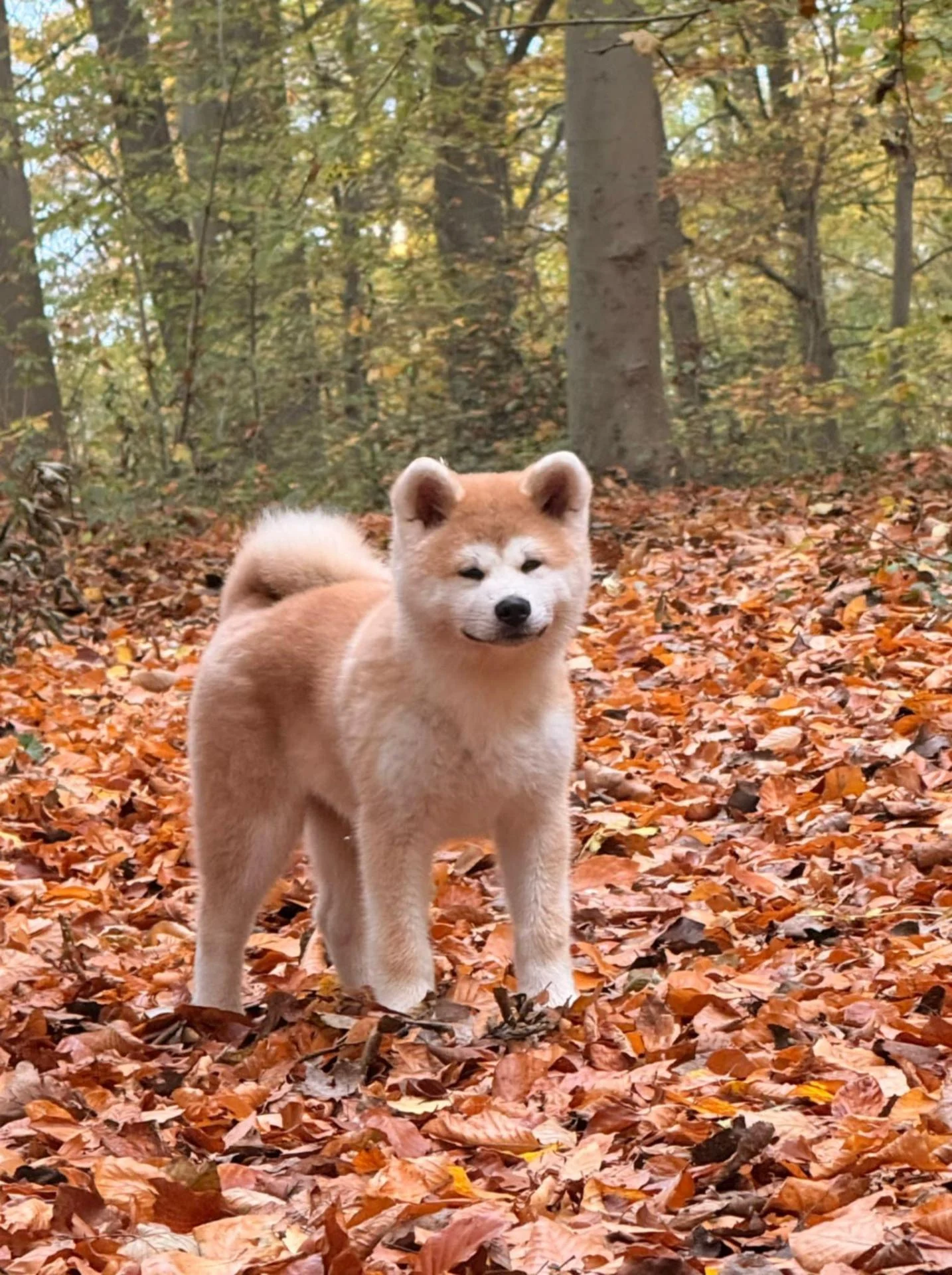 432e22df 7193 45dd 9dbd d1adba2a6006