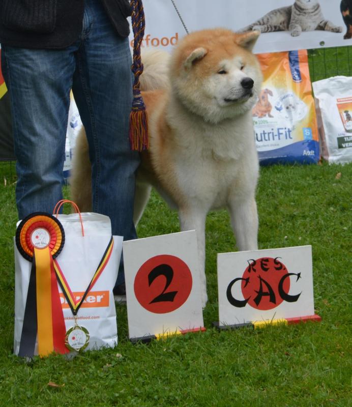 448546140 10232253418184251 8176214635972336012 n