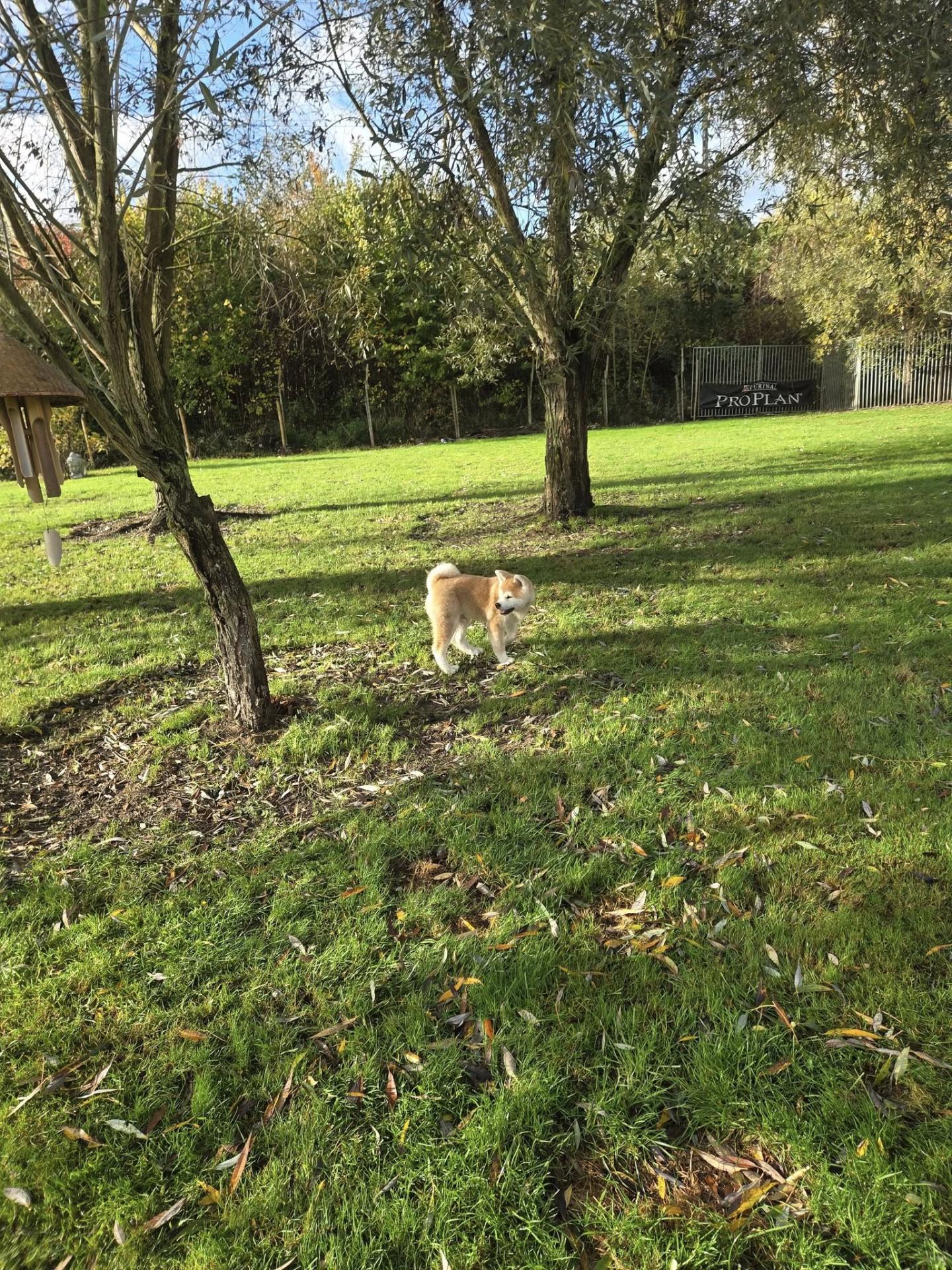 560316268 10238576496577259 2230019135522628141 n