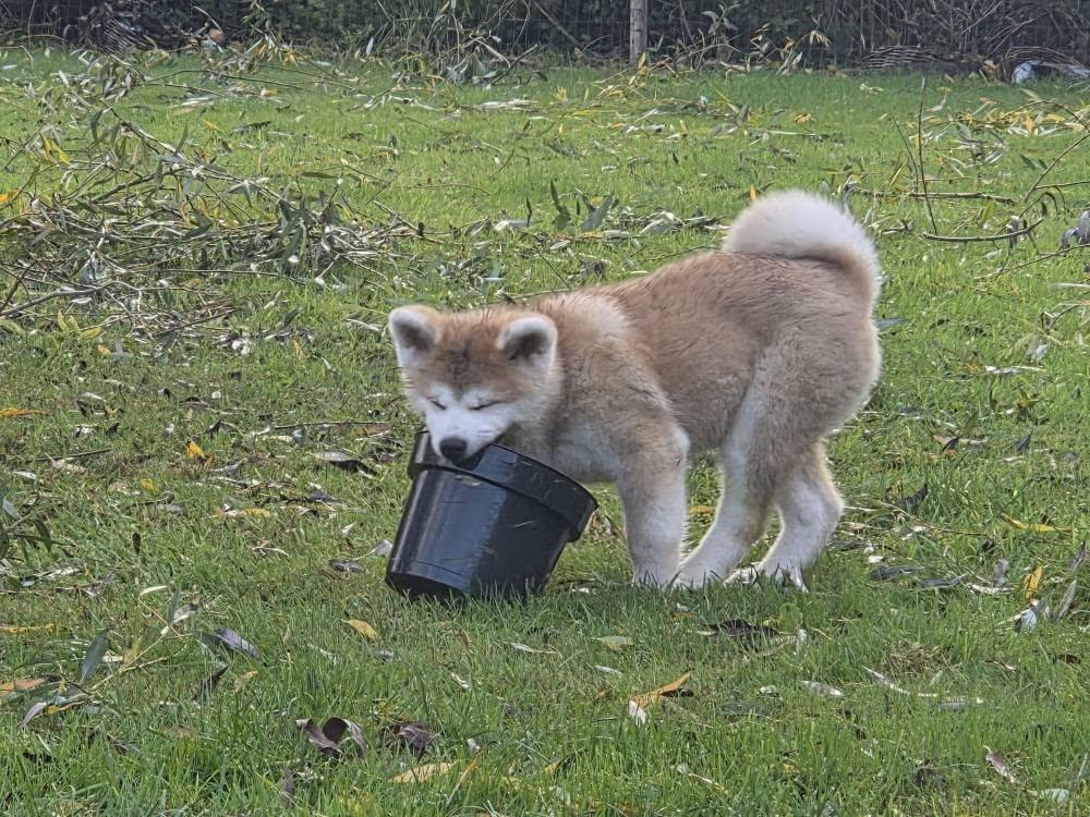 569737008 10238566016315259 8901299531792066723 n