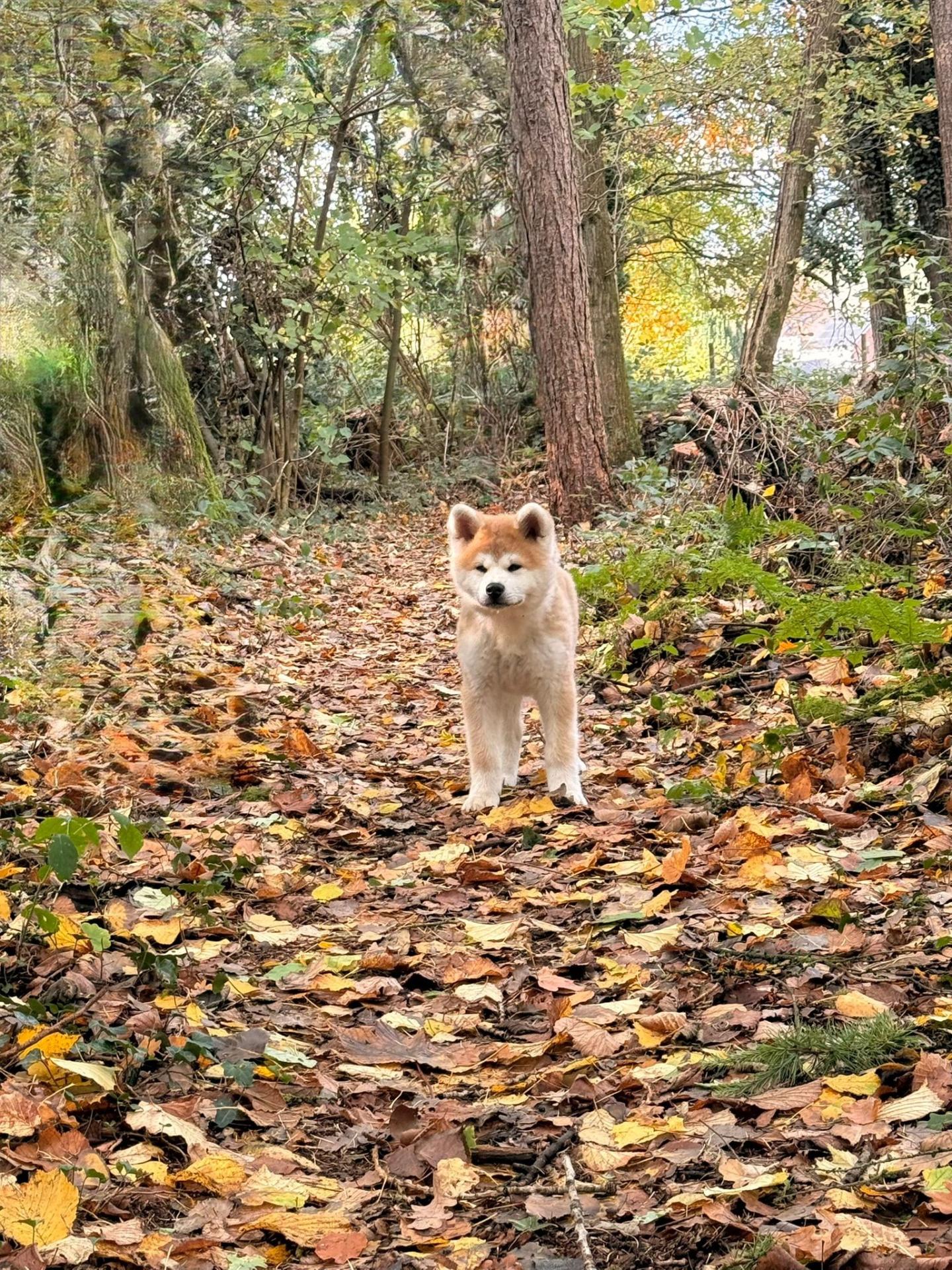 569841064 10238580063546431 6577500857132802155 n