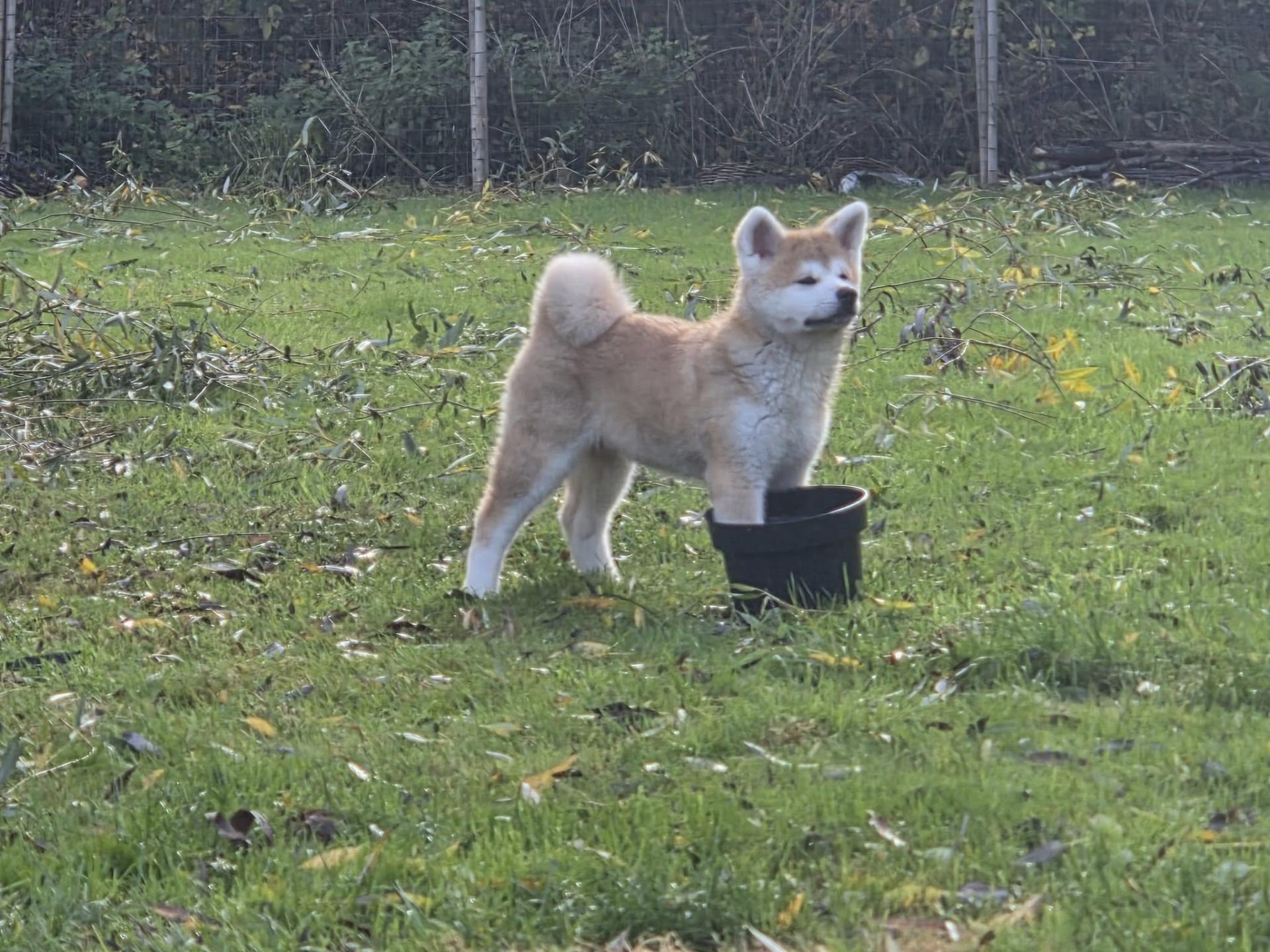 570394865 10238566021595391 5722441186950568996 n