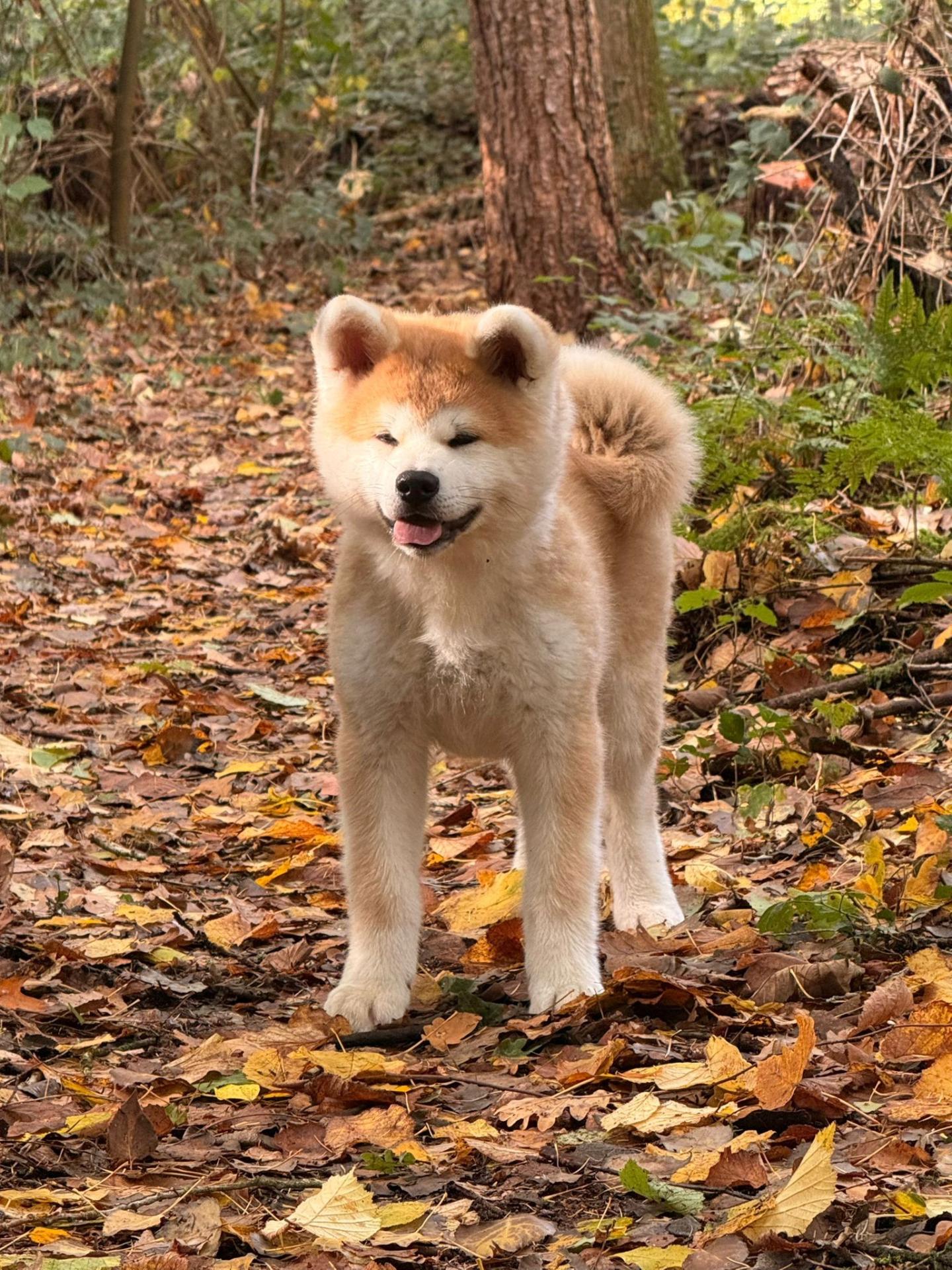 570475448 10238580059866339 7596643973206234304 n