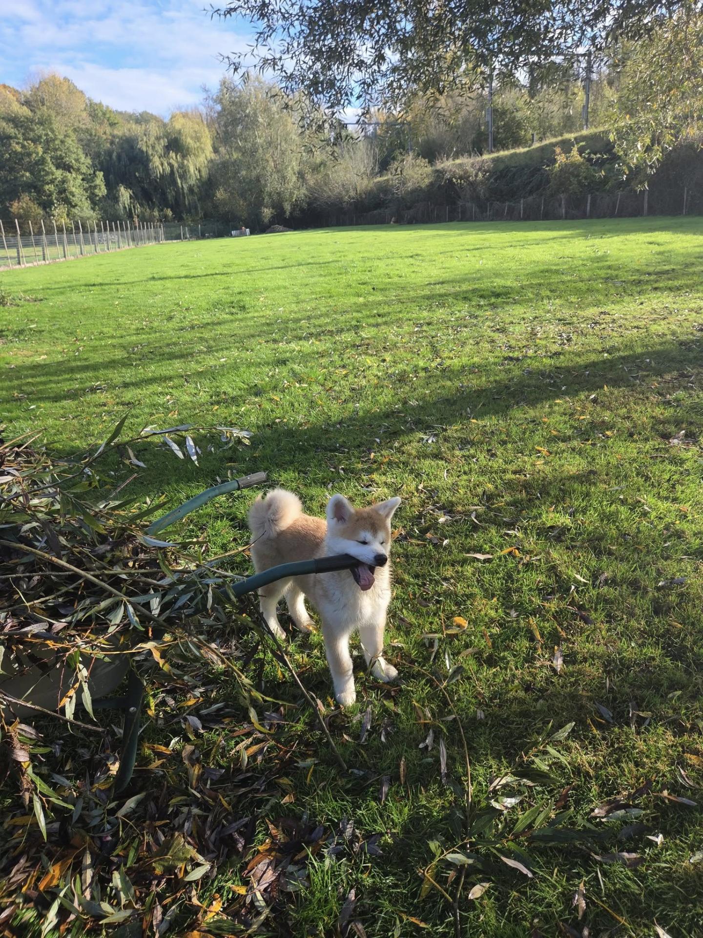 570695441 10238566023435437 3684810127521445555 n