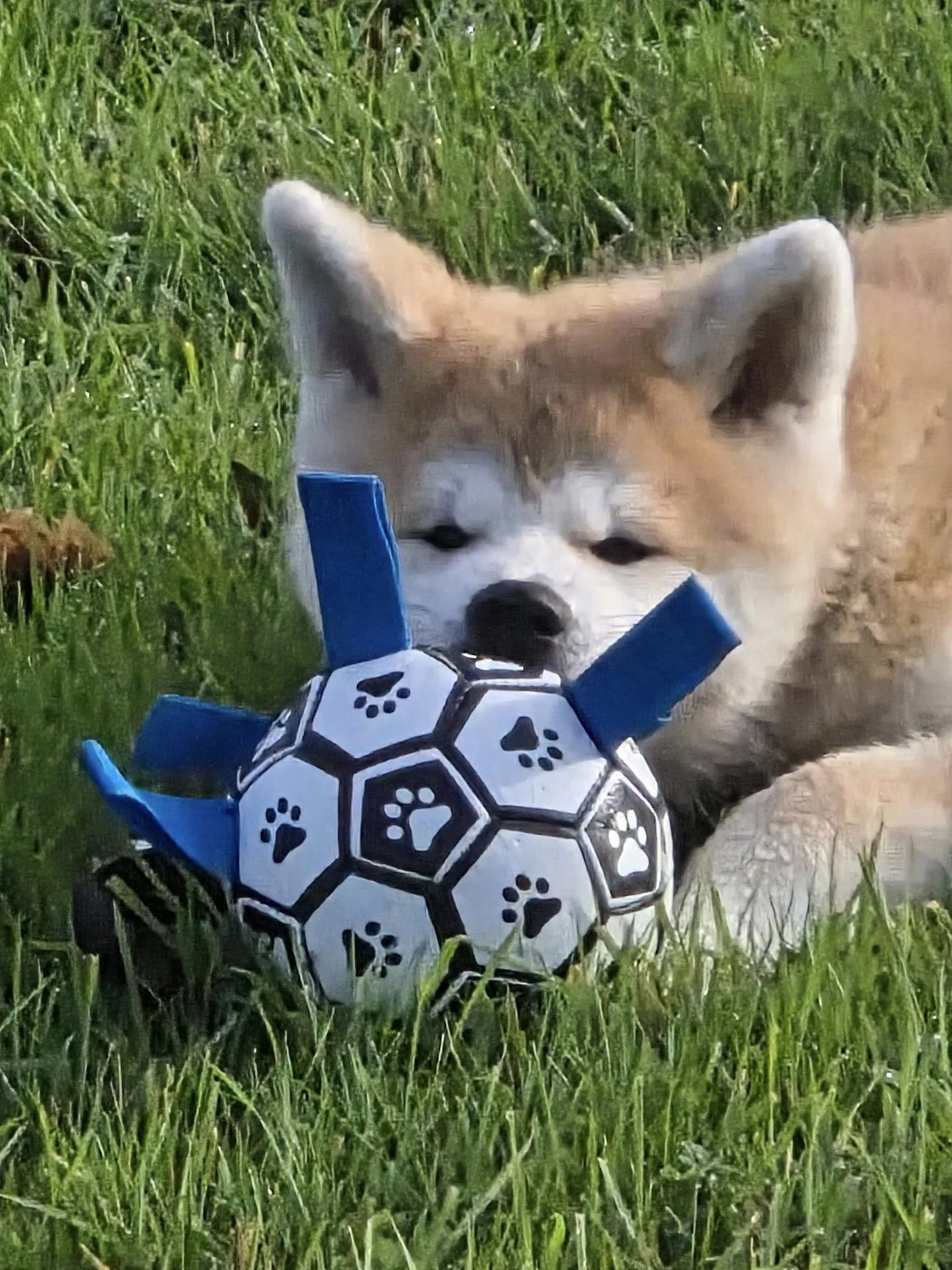 570943072 10238576493657186 6866648592854868986 n