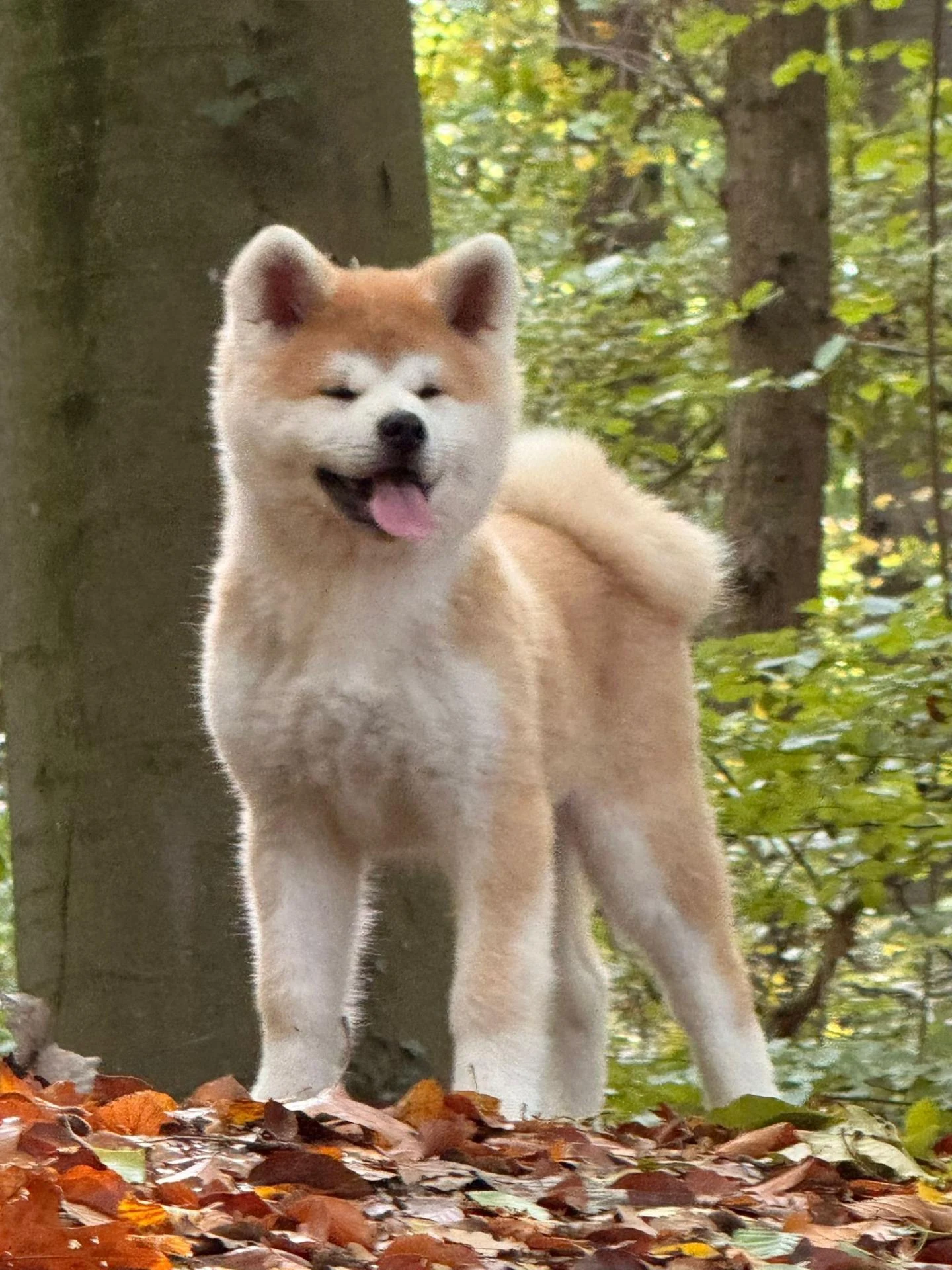 571012656 10238580069066569 3371617692308502402 n