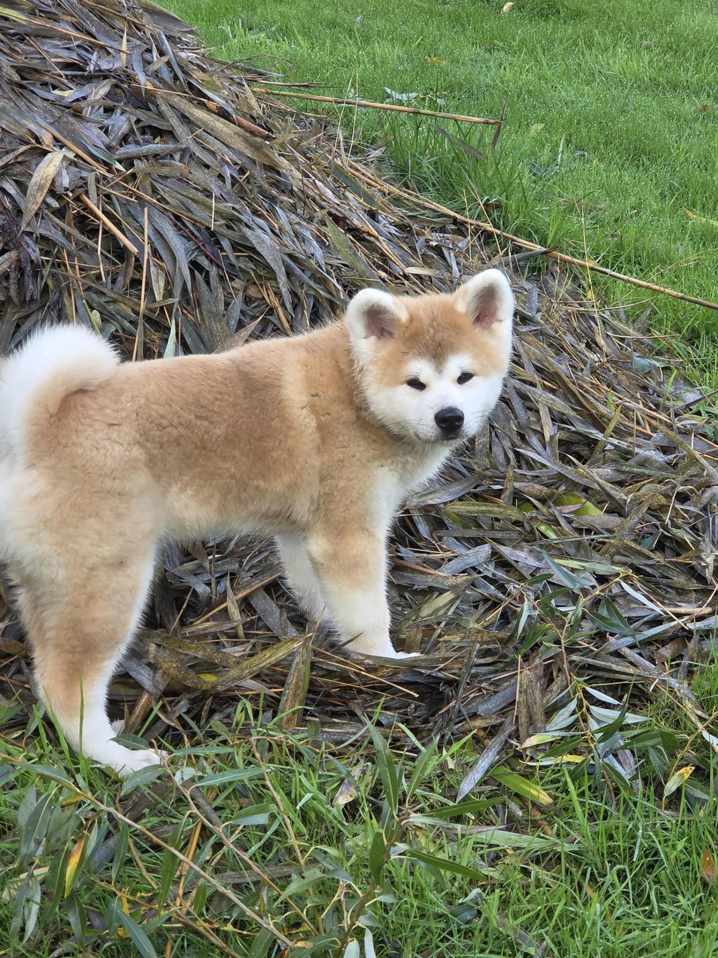 571138003 10238576493057171 5381118321977798674 n