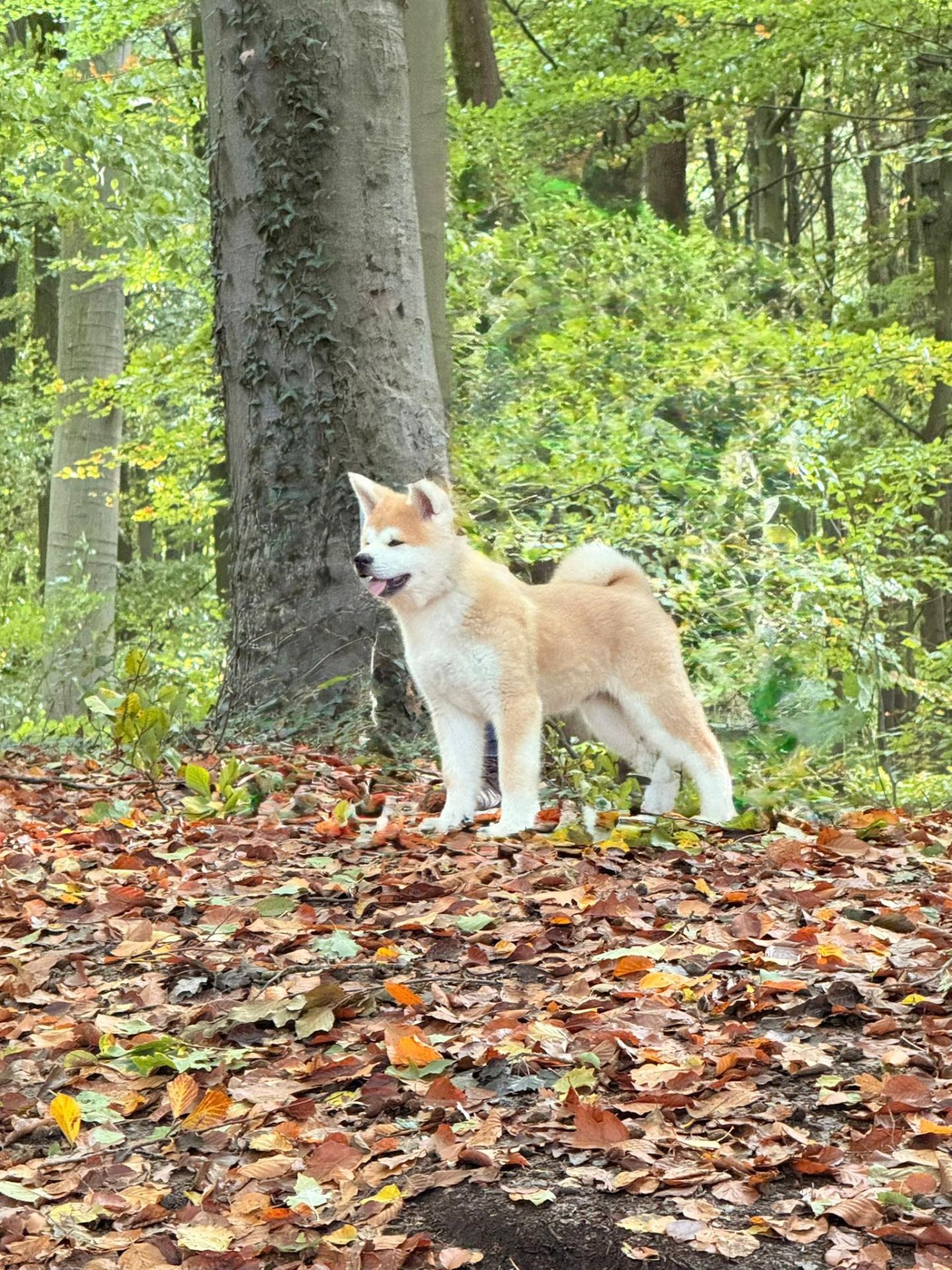 571152290 10238580066826513 3353572148895267564 n