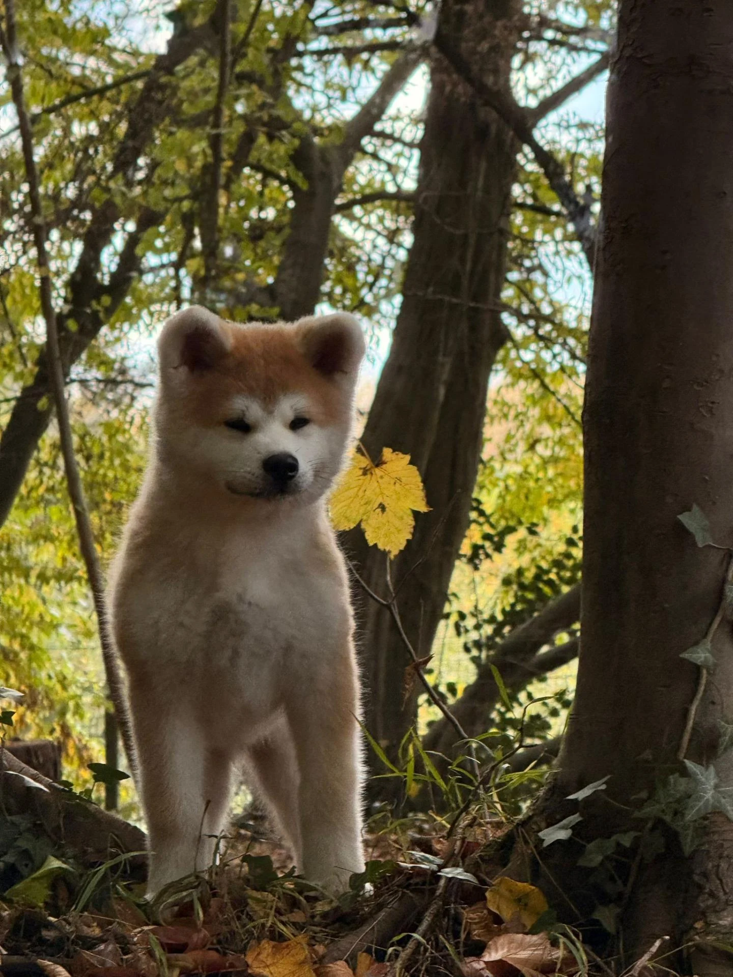 571193214 10238580069586582 3082451661509418032 n