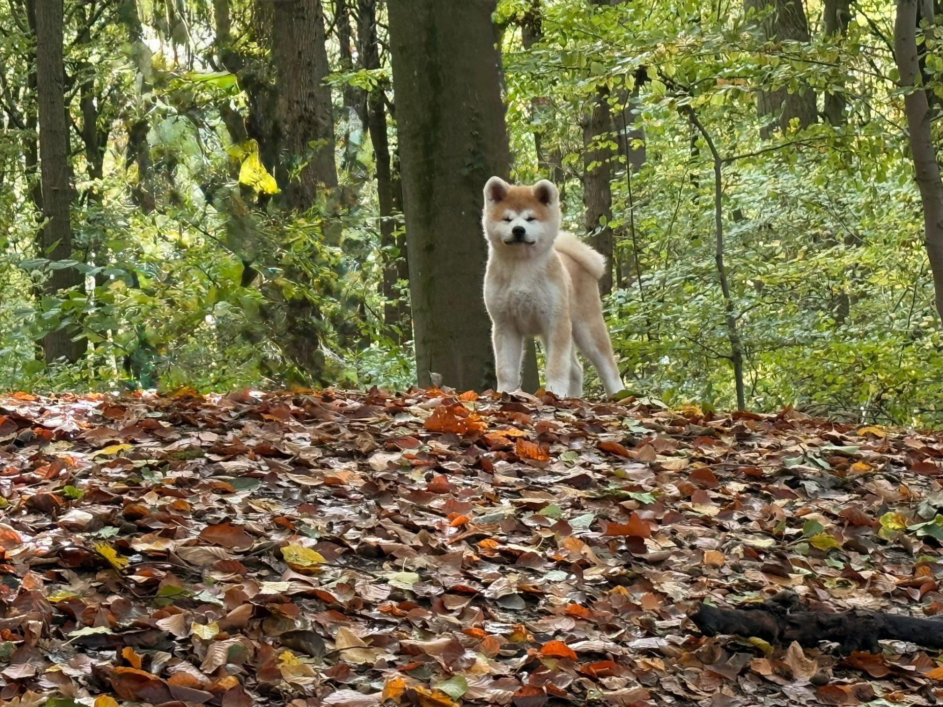 571261038 10238580068226548 3313608494251578346 n