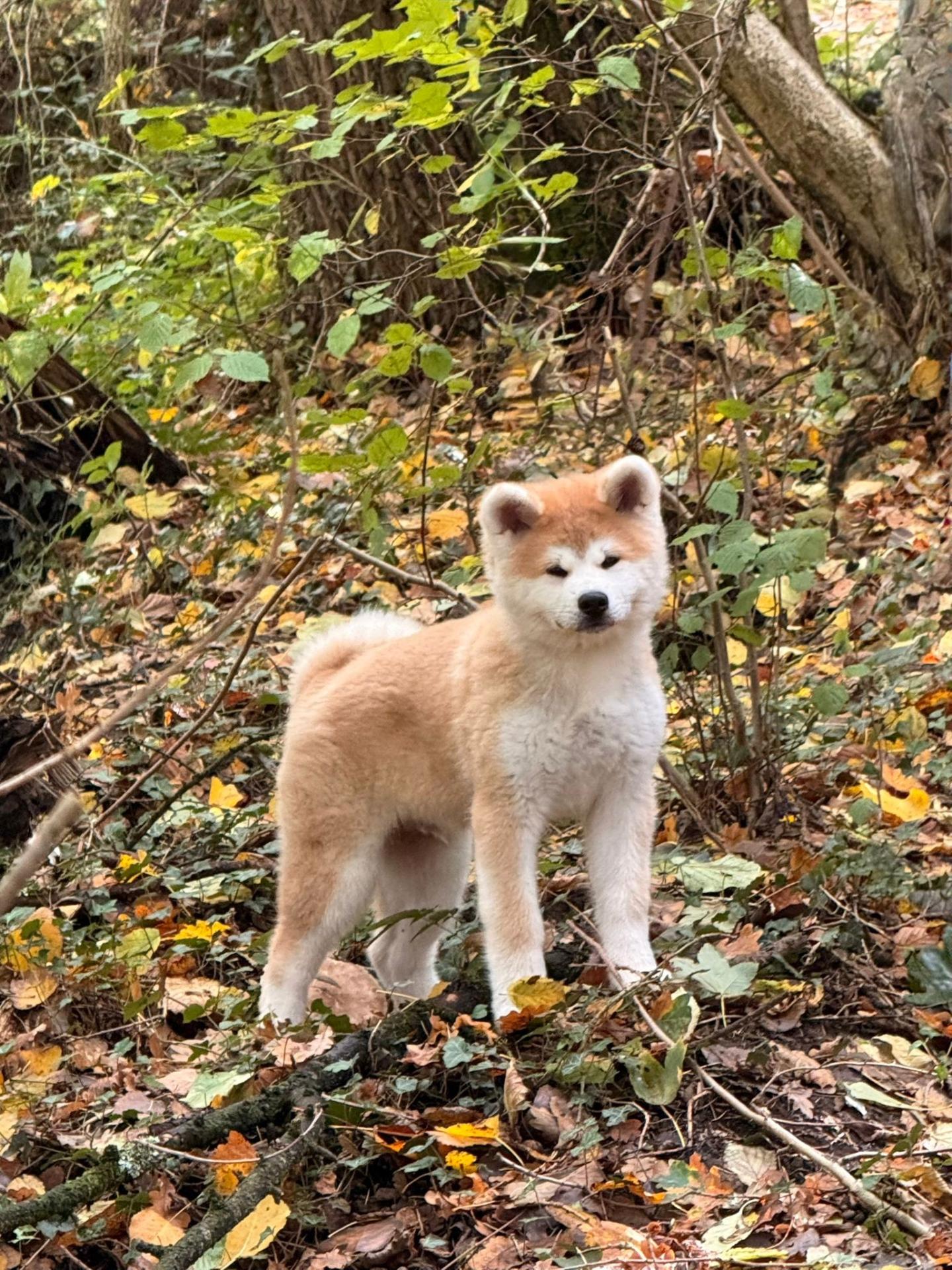 571777424 10238580063066419 3855162577072161443 n