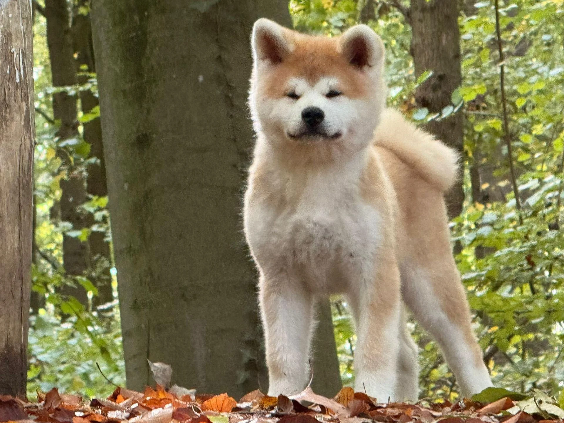 572807831 10238580068626558 3812483561120073940 n