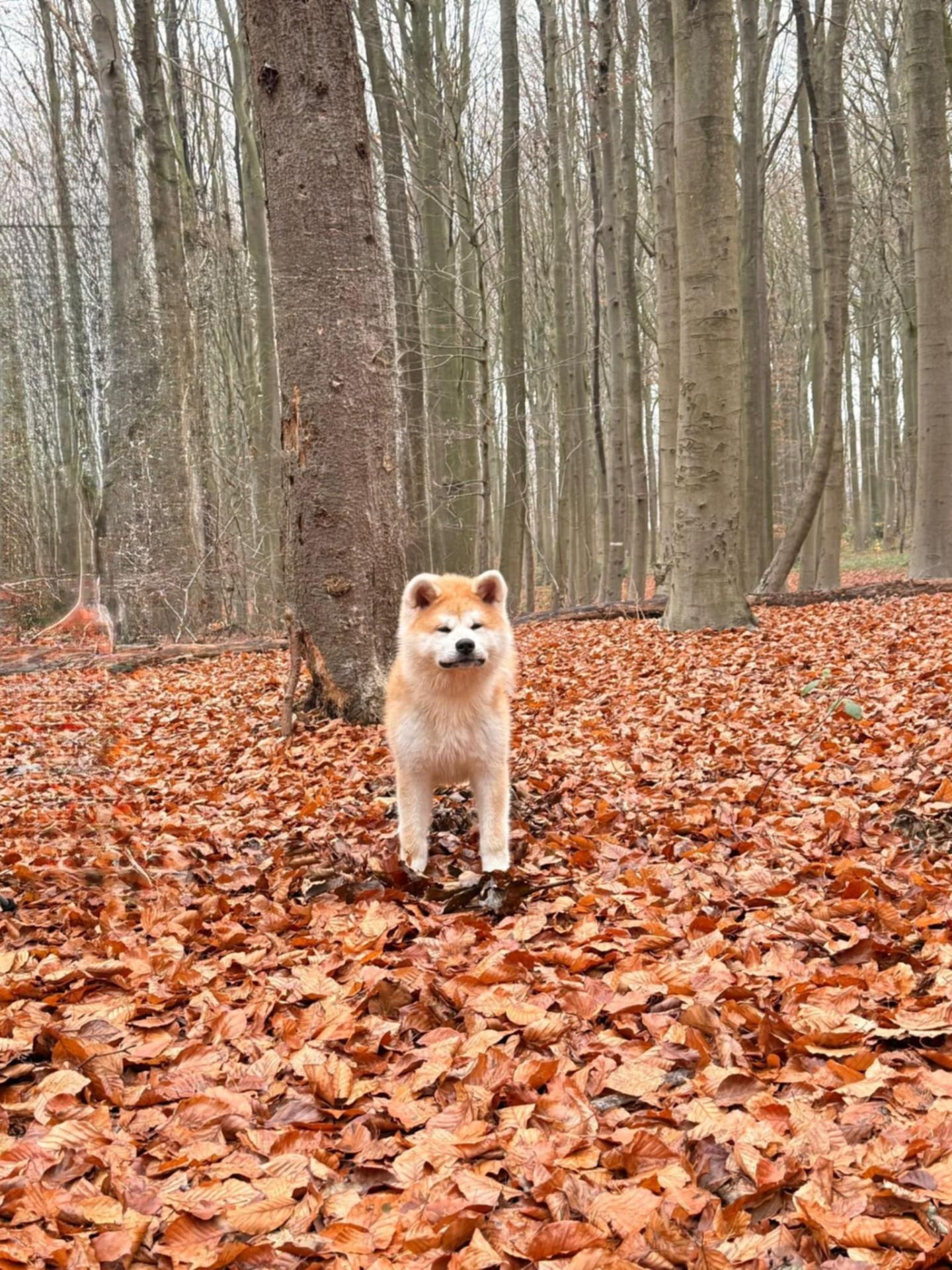 58224261 fd95 4cf0 832f ccfdc49013bb