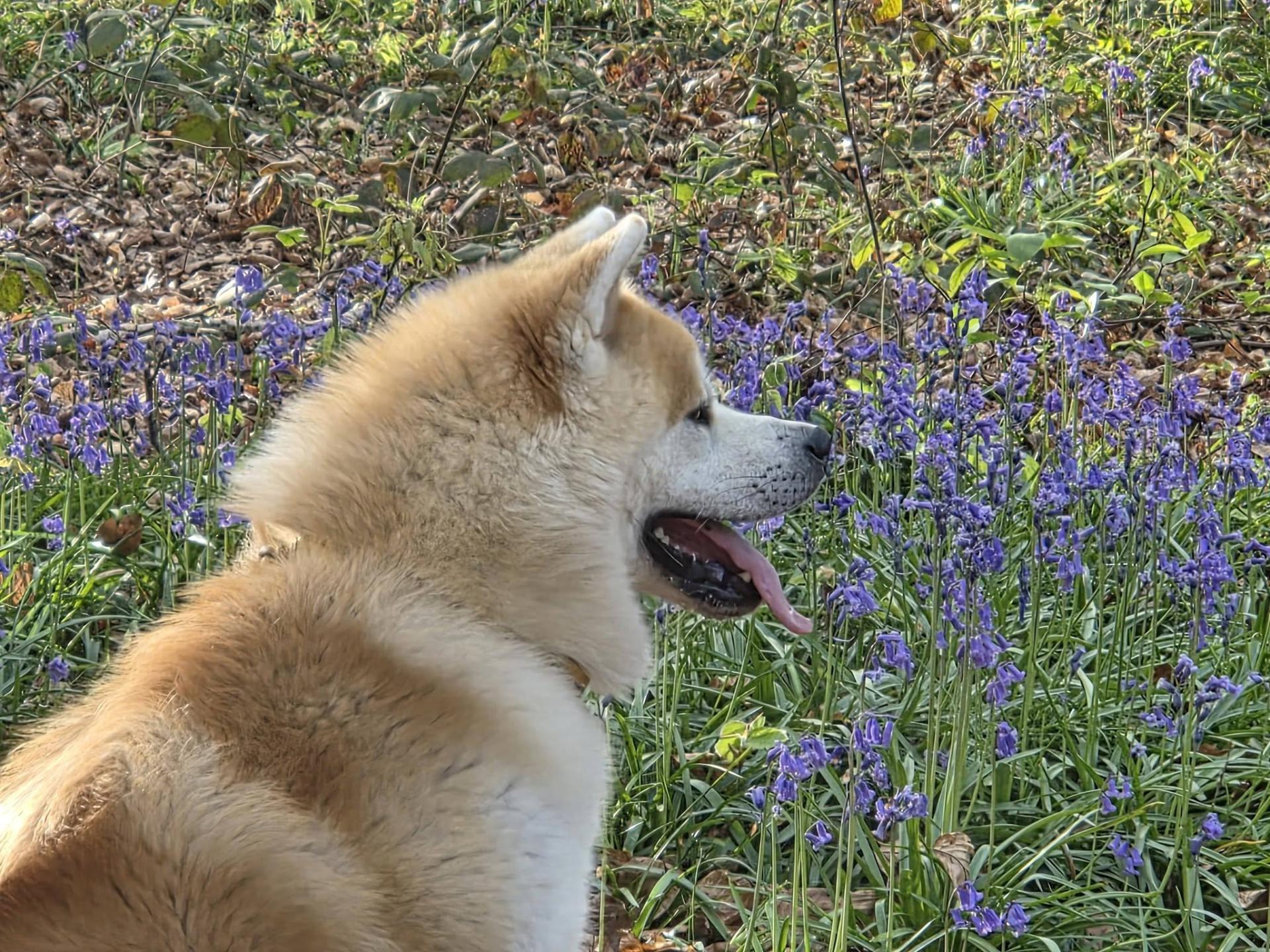 670911233 10241097928731487 2040113326983543983 n