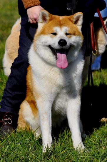 7-april-2013-33-1.jpg