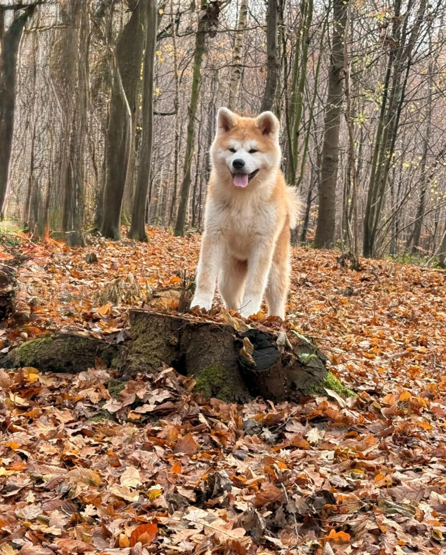 7ac95fd5 2c96 47e5 9ca8 14bcab582034