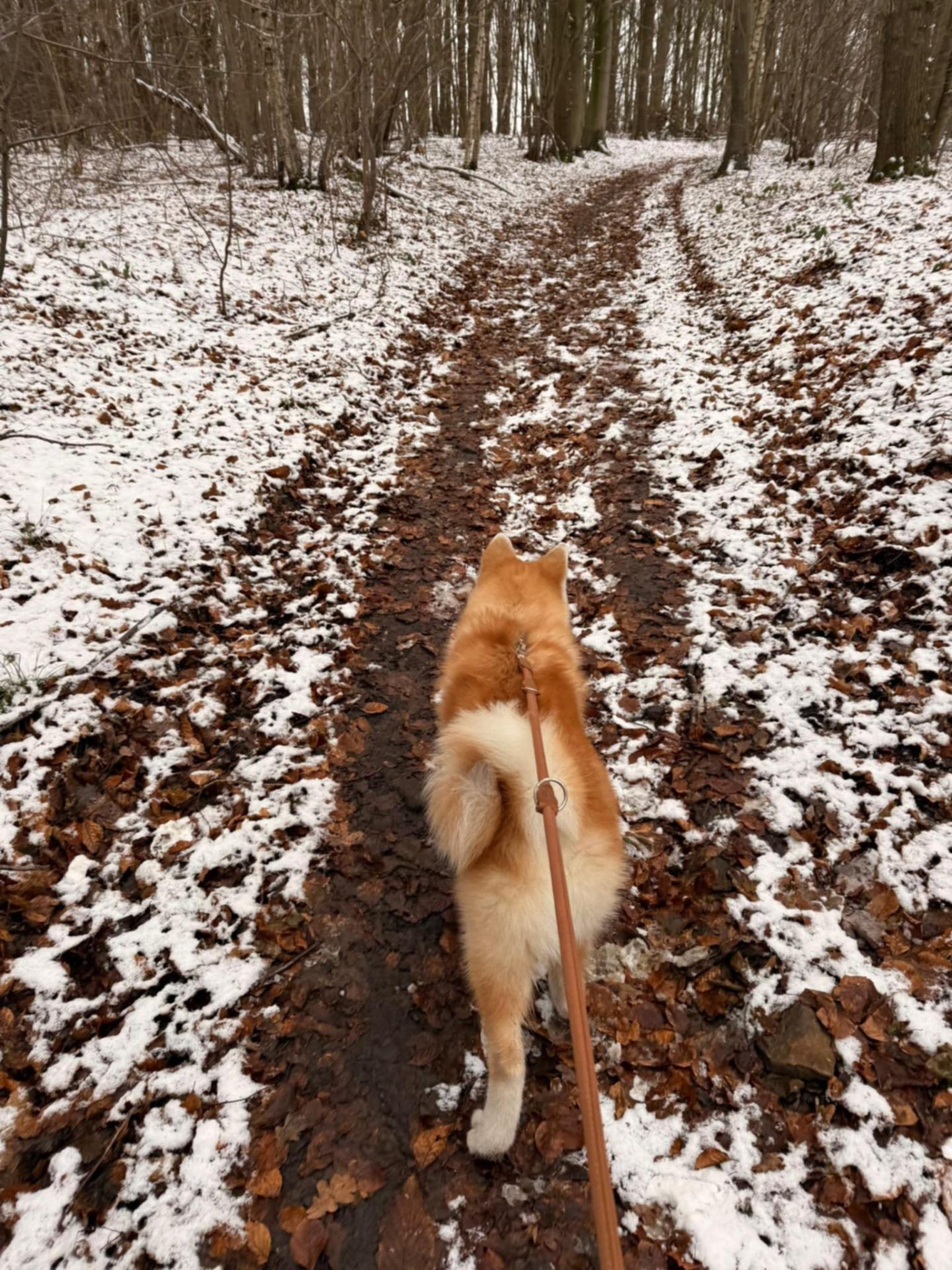 81037370 4ff5 4b6b b572 f96a810c89e2