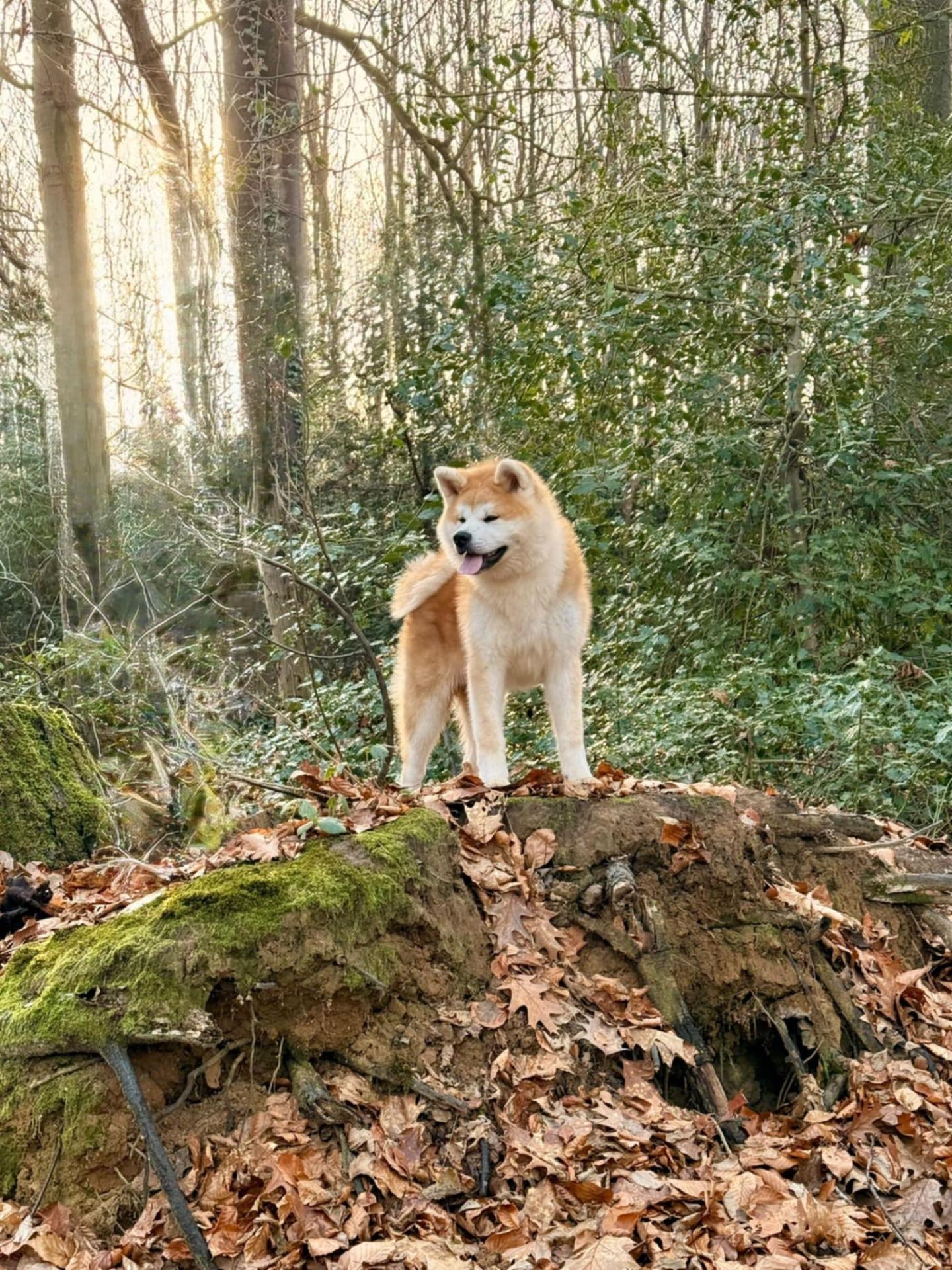 8f8e8295 507b 4ffe 94f5 66fa741771f0