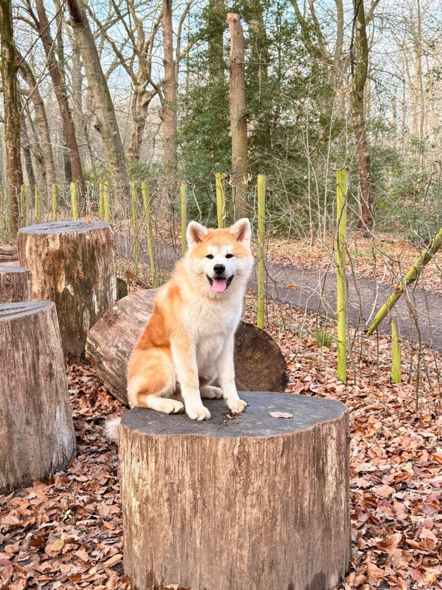 9b8f4646 3eb6 4f8b b031 0d4e31679b9f