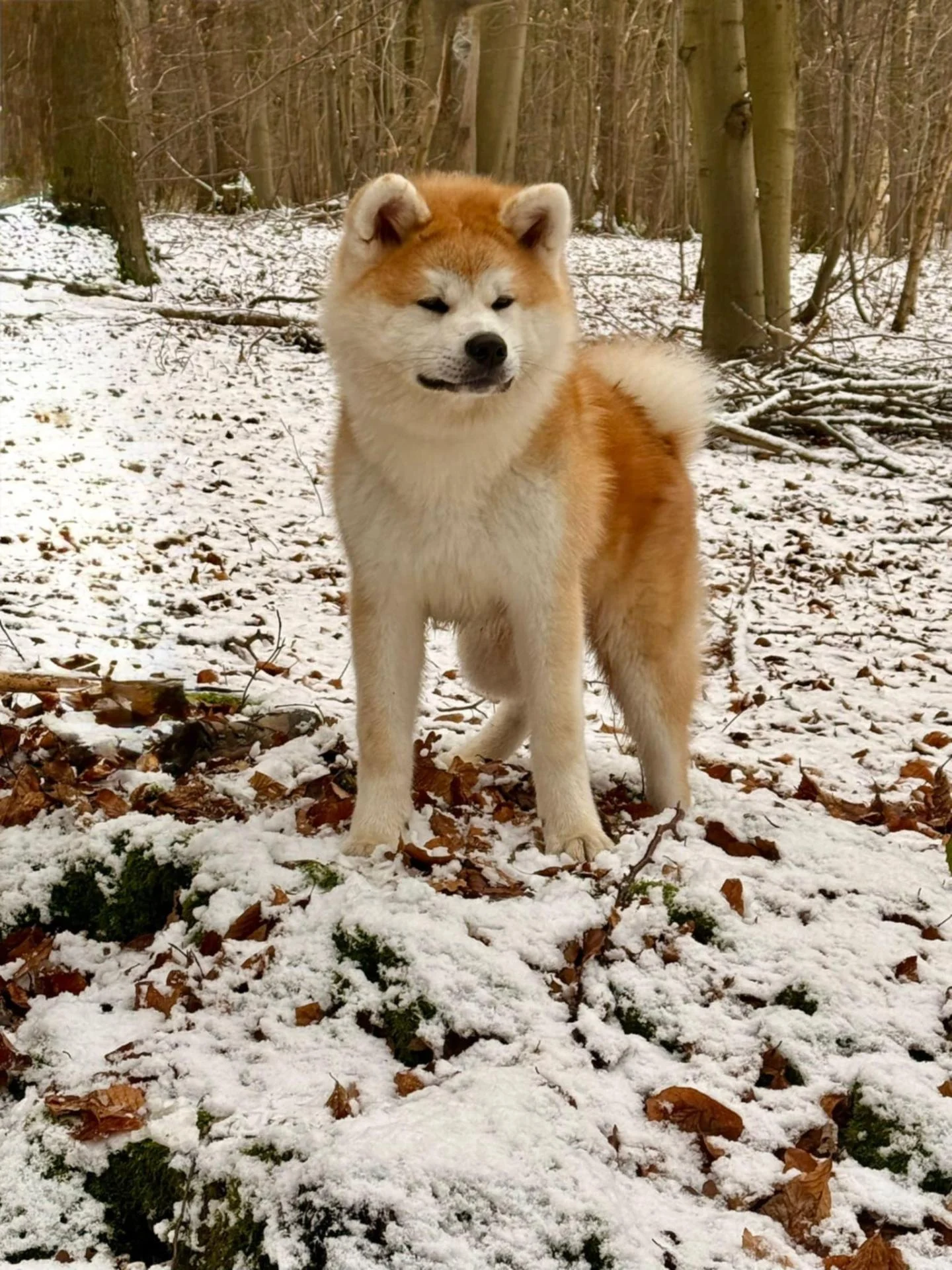 Aa5fba9b 52eb 409b 9c1e fe7e0523f84b