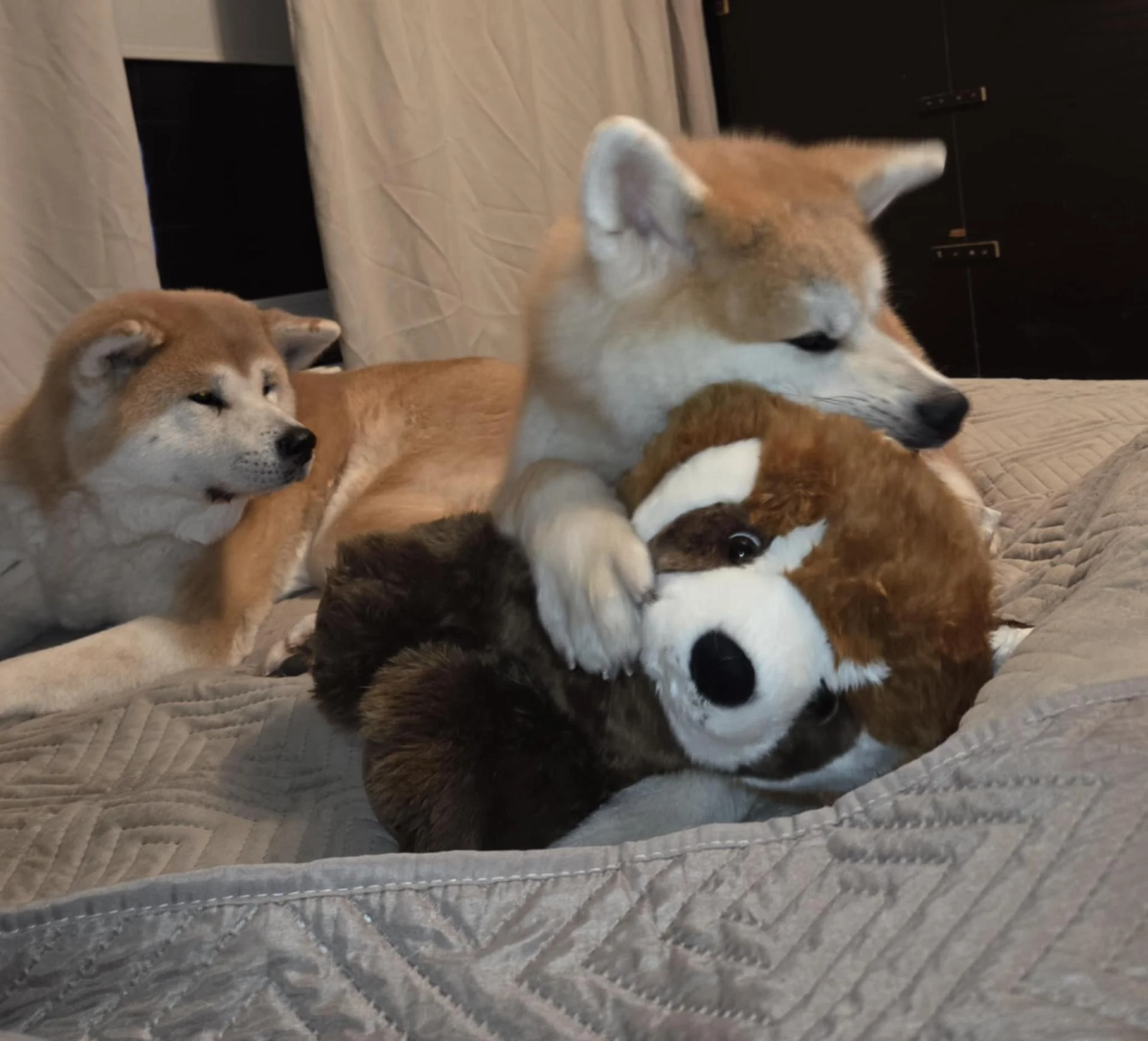 Cf7b09d0 aae2 4d72 b1ab bc012fd08244