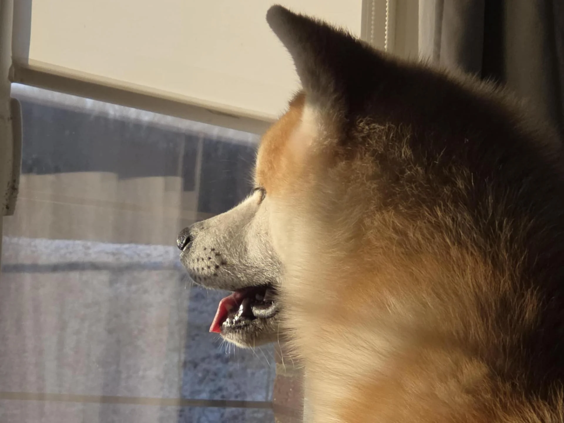 Ebcc826d 5556 4aaf ab40 ad9aba7b3122