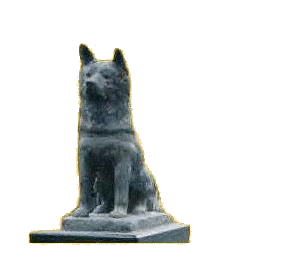 fond-hachiko.gif