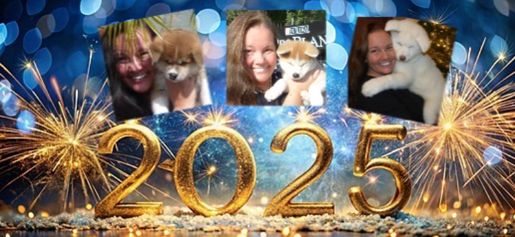 New year 2025