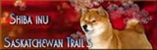 Shiba SASKATCHEWAN TRAIL'S