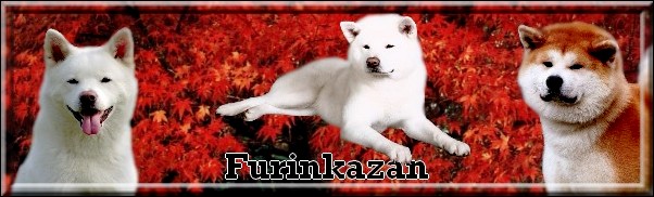 FURINKAZAN (Album Photos)